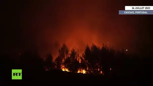 🇵🇹Portugal : les flammes embrasent un parc naturel près de la station balnéaire de Cascais