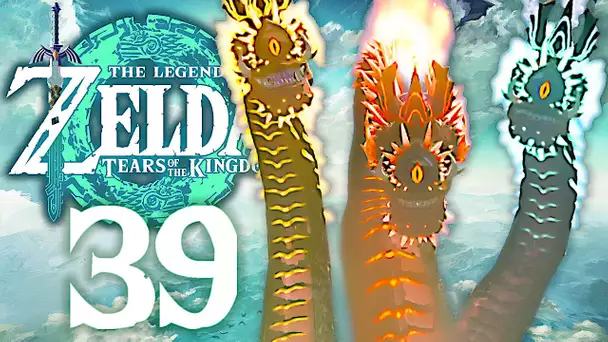 ZELDA TEARS OF THE KINGDOM #39 | LE ROI GRIOCK !