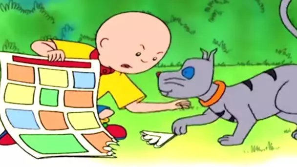 Caillou en Français | Caillou veut Lire sa Bédé | dessin animé | NOUVEL ÉPISODE HD | WildBrain