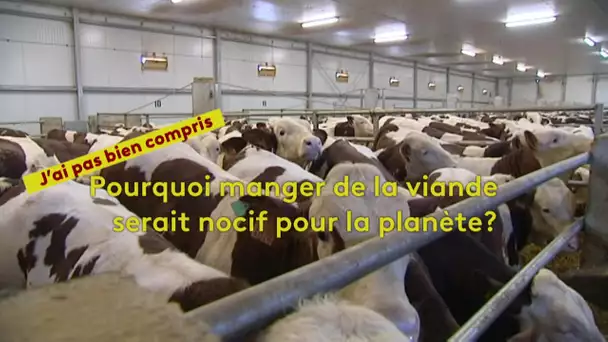 J'ai pas bien compris : pourquoi manger de la viande serait nocif pour la planète ?