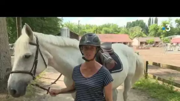 SERIE. La forêt de Fontainebleau (3/3) : A cheval