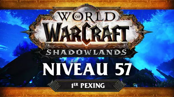 WoW Shadowlands #6 : Niveau 57 (ft. Lapi, Gius, Kenny et Flora)