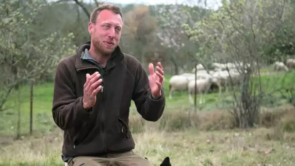 Bruno, le banquier devenu berger