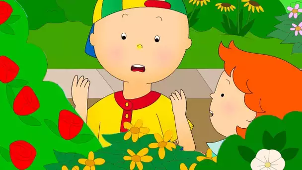 Caillou et le Jardin Botanique | Caillou en Français