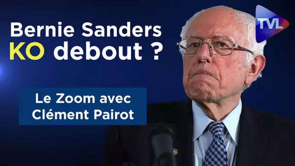 Bernie Sanders KO debout ? - Le Zoom - Clément Pairot - TVL