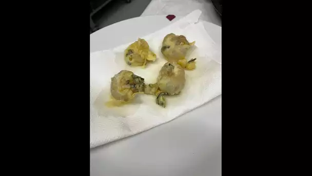 Une idée de recette imaginée par un docteur en biologie marine de Nice, les beignets de méduses