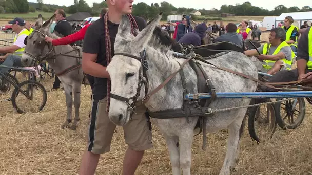 Gisay la Coudre (27) : la course d&#039;ânes du 15 août