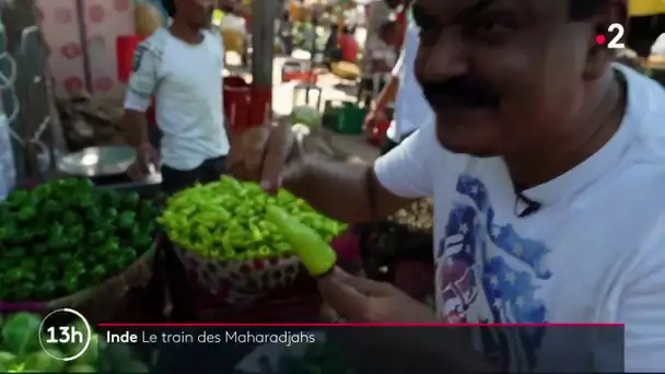 Inde : Le train des Maharadjahs