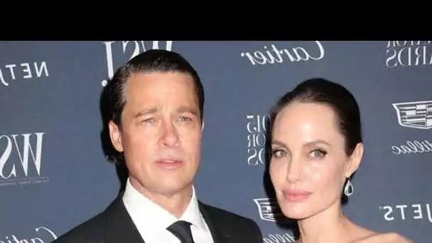 Angelina Jolie en guerre avec Brad Pitt, Justification lunaire de la vente de Miraval