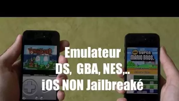 Jouer à la DS, GBA, NES, SEGA,.. SANS JAILBREAK sur iPhone, iPod Touch et iPad iOS 5 6 7