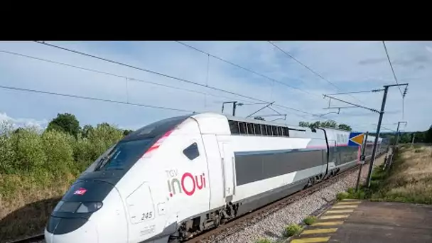 Grève SNCF : quel manque à gagner pour la compagnie ferroviaire ?