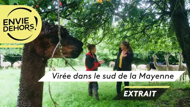 ENVIE DEHORS ! Virée dans le sud de la Mayenne [extrait]