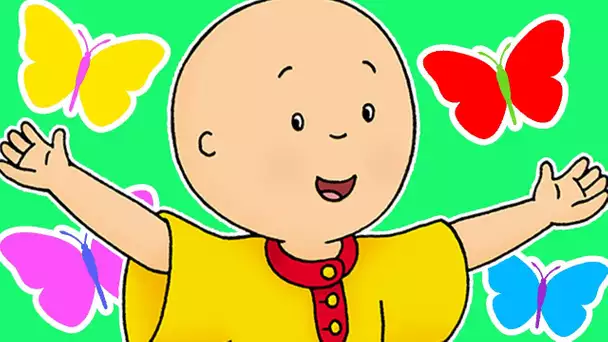 Caillou en français | Histoire d’arbres | dessin animé complet en francais | Caillou en Français