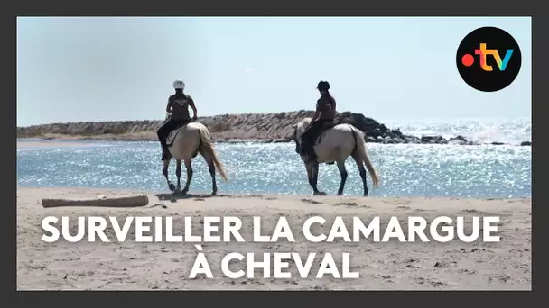 Les écogardes patrouillent tout l'été pour sensibiliser à la protection du littoral