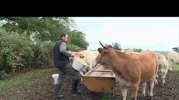 Côte-d'Or : le témoignage d’un agriculteur qui en a assez de l'agribashing