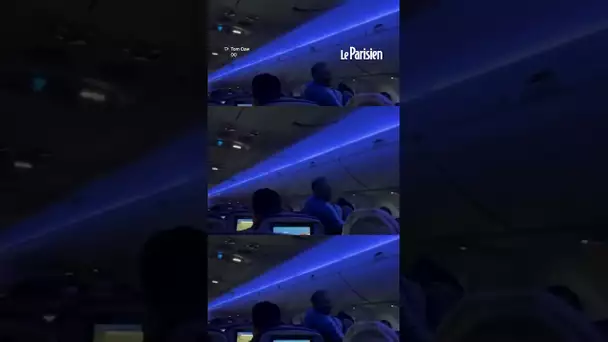 Un pigeon retrouvé dans un avion en plein vol