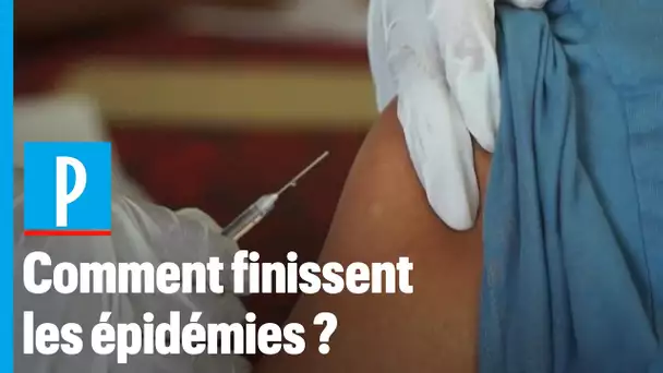 Les trois « grandes options » pour faire disparaître une épidémie