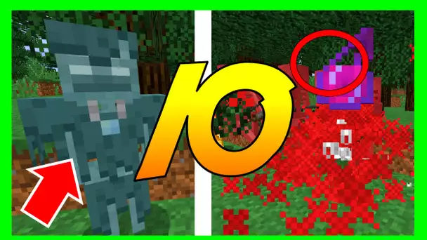 10 CHOSES QUE TU NE SAVAIS PAS SUR LES SQUELETTES MINECRAFT