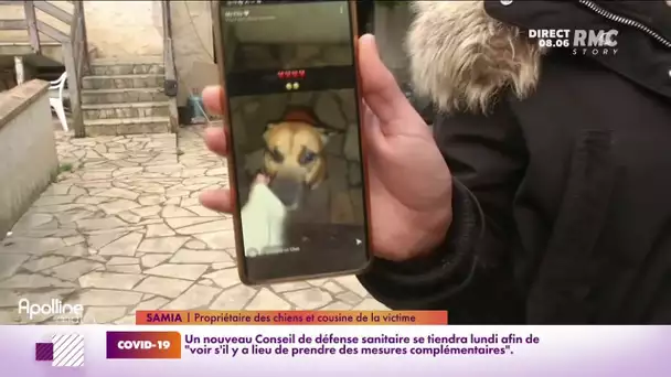 "On est dans un état de choc": l'incompréhension après une grave attaque de chiens dans l'Essonne