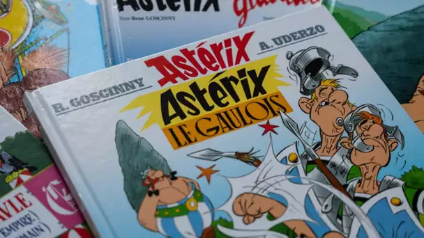 Astérix : découvrir l'économie grâce au plus célèbre des Gaulois, la promesse d'une exposition à …
