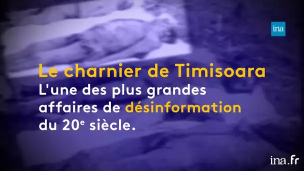 Charnier de Timisoara, un fiasco médiatique | Franceinfo INA