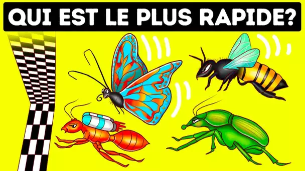 Qui l’emporterait dans une course de vitesse entre les insectes ?