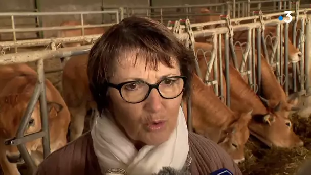 Christiane Lambert, présidente FNSEA : "Croyez-vous qu'il n'y ait qu'un seul modèle d'agriculture ?"