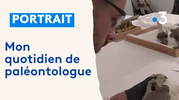 Le quotidien d'un paléontologue