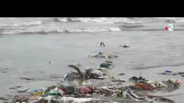 Bombay déclare la guerre au plastique