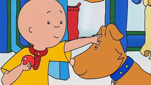 Le Nouveau Chien de Sarah | Caillou en Français