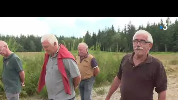 Forêt de Lanouée (Morbihan) : le chantier du parc éolien va reprendre