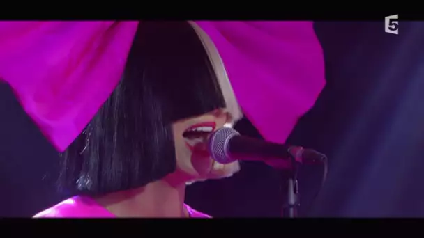 Sia en Live, avec 'Bird set free' - C à Vous - 28/01/2016