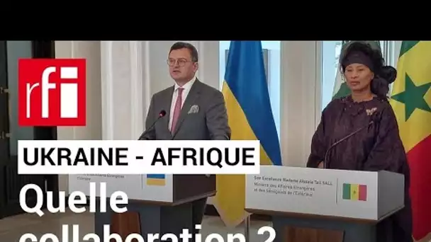 Afrique : l'Ukraine en quête d'alliés ? • RFI