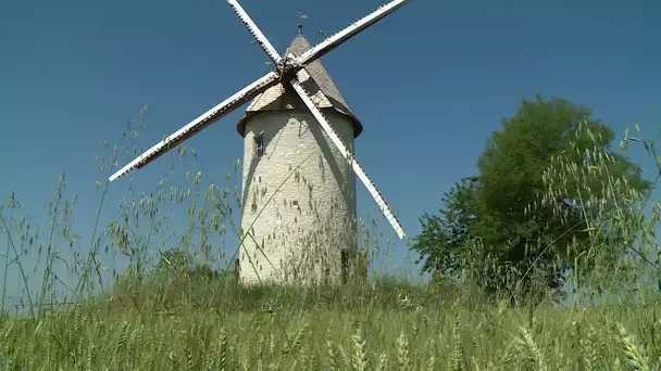 Patrimoine : la renaissance du moulin de Citole