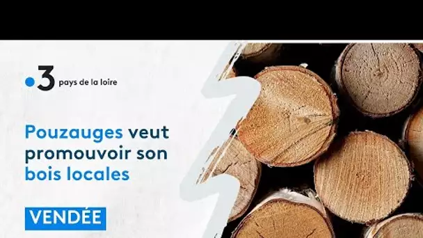 Vendée : le canton de Pouzauges veut promouvoir le bois de ses forêts locales