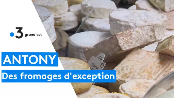 Famille Antony : des fromages d'exception