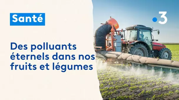 PFAS. Des polluants éternels dans nos fruits et légumes