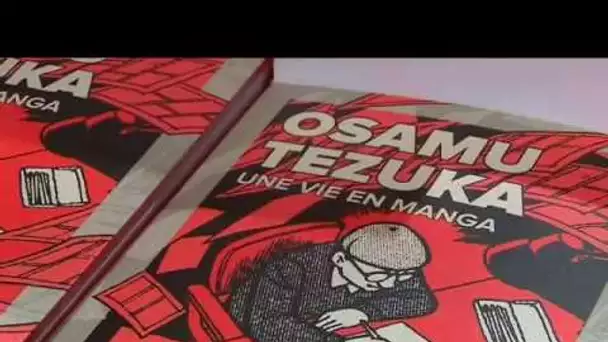 L&#039;engouement du FIBD pour les mangas