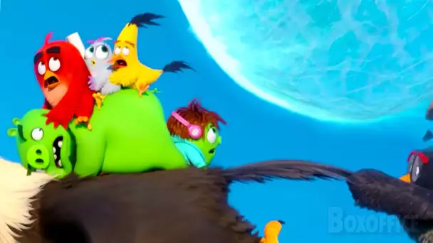 Les Angry Birds échappent à un météore de glace | Angry Birds 2 | Extrait VF