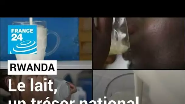 Rwanda : la production de lait a explosé ces 20 dernières années • FRANCE 24