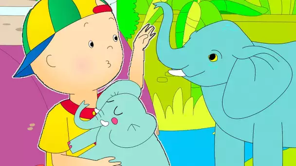 Caillou et L'éléphant | Caillou en Français