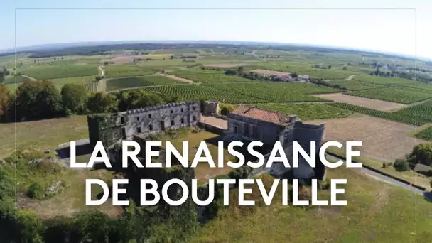 🏰 Le château de Bouteville renaît et séduit 12 000 visiteurs au cœur du vignoble charentais !