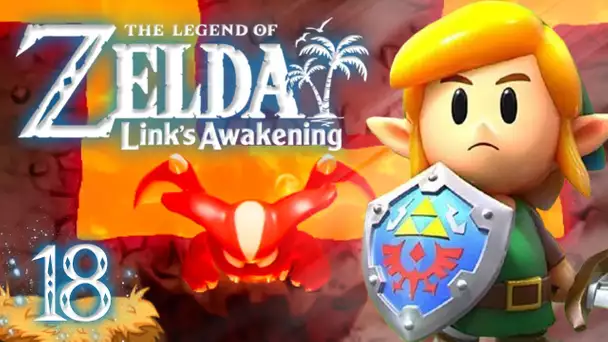 Zelda Link's Awakening HD : Roc de la tortue #18