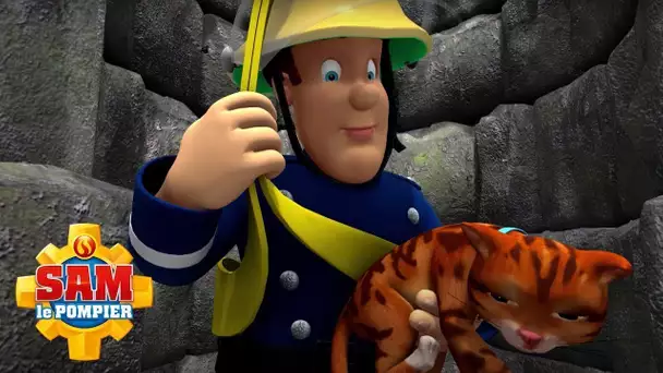 Sam le pompier sauve un chat du danger ! | Sam le Pompier | WildBrain Enfants