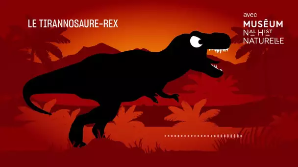Le Tyrannosaure-rex : la terreur sur pattes - Bestioles fossiles