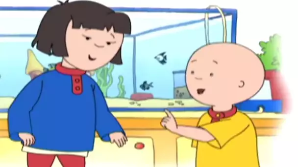 Caillou et le Nouvel Élève | Caillou en Français