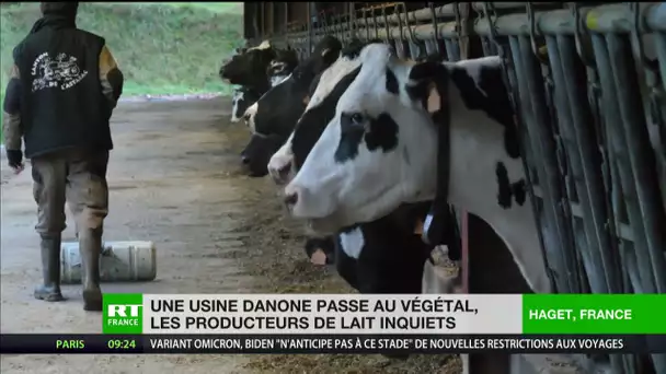 Une usine Danone passe au végétal, les producteurs de lait inquiets