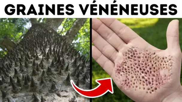 Tu ferais mieux de rester éloigné de cet arbre