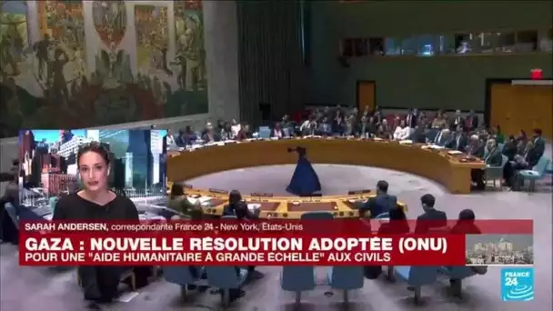 Gaza : le Conseil de sécurité de l'ONU exige une aide "à grande échelle" • FRANCE 24