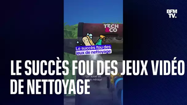 Pourquoi les jeux vidéo de nettoyage sont-ils aussi populaires?